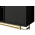 Komoda z szufladami loft TALLY 2-drzwiowa czarny mat, stelaż złoty metal
